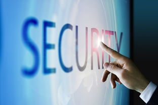 國(guó)際貿(mào)易與電子商務(wù) 區(qū)別、聯(lián)系與融合